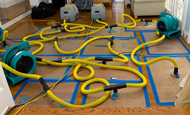 Professional Basement Flood Cleanup technician working in Mirror Lake, NH